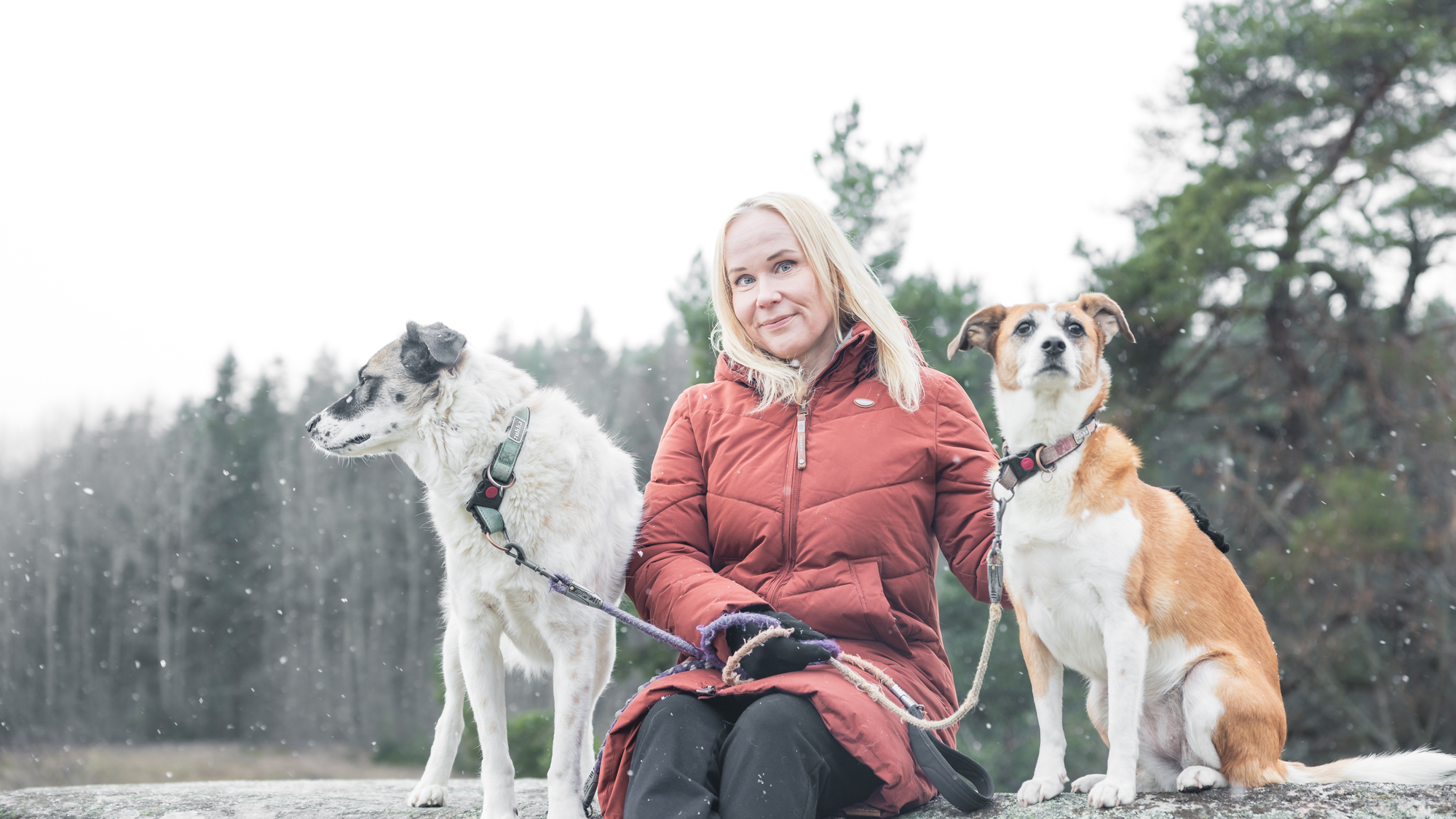 Elisa Aaltola ja rescue koirat istumassa kalliolla varsinais-suomessa.